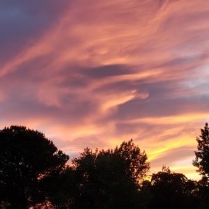 Meet your Posher, Sheila